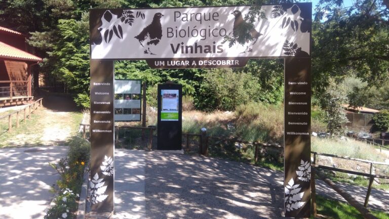 Alojamento em Vinhais: Conforto e Tradi&ccedil;&atilde;o na Natureza