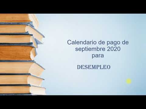 Guia Completo: Documentação para Solicitar o Seguro Desemprego