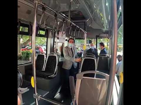 Horários do Funchal 8: Tudo o que precisa de saber