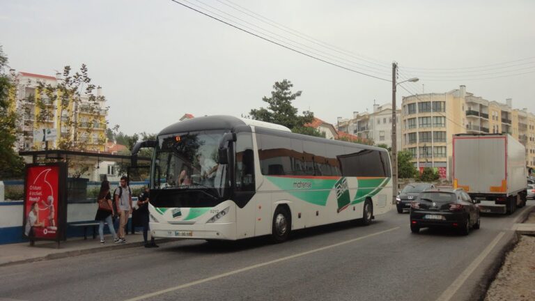 Transportes eficientes para Torres Vedras