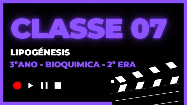 Forma&ccedil;&atilde;o &Uacute;nica: O Caminho para o Sucesso