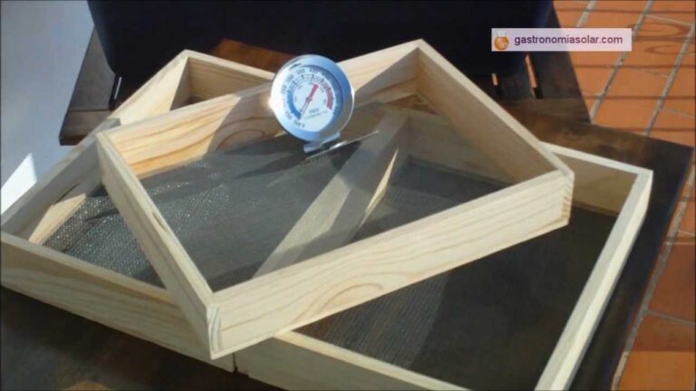Conservação de alimentos através da desidratação