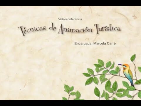A Magia da Animação Hoteleira: Transformando Estadia em Experiência