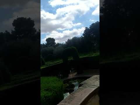 Curso de Jardinagem em Barcelona: Tudo o que Precisa Saber