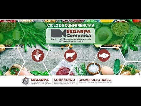 Curso Gratuito da Lei de Contratos do Setor P&uacute;blico