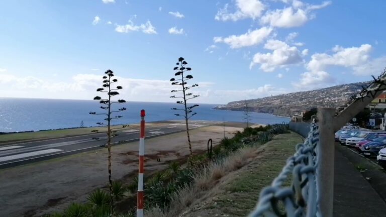 Chegadas no Porto de Ponta Delgada: Guia Completo