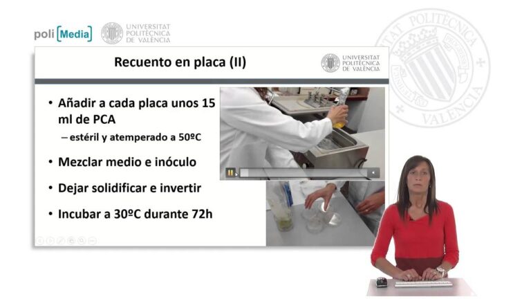 Protocolo de Isolamento Inverso: Guia Completo e Eficiente