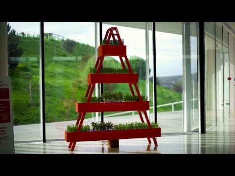 Santander Abrantes: Conhe&ccedil;a a Hist&oacute;ria e os Servi&ccedil;os do Banco