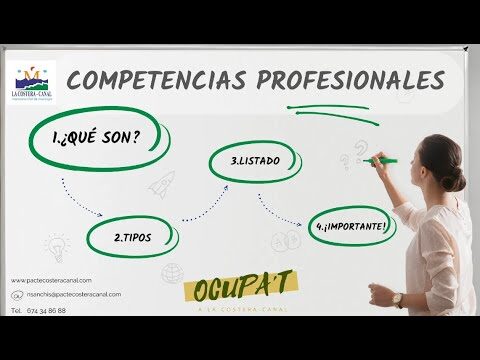 Desvendando as Compet&ecirc;ncias Profissionais Essenciais