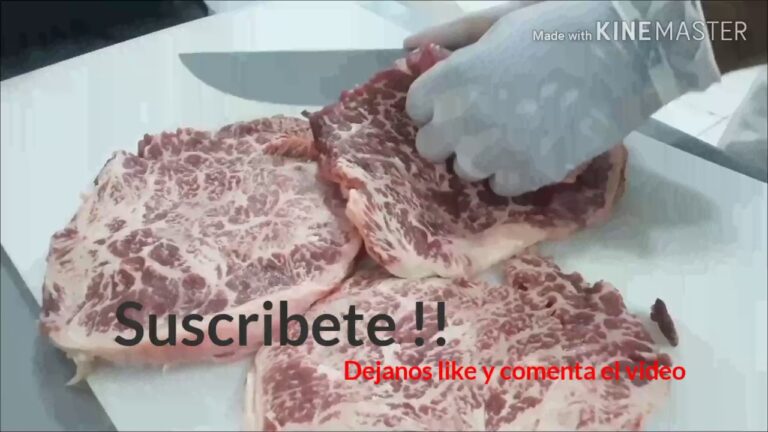 Curso de Carnicero Gratuito: Aprenda a Arte da Carne com Profissionalismo