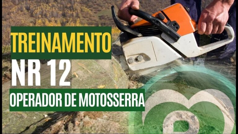 Curso Florestal SEPE: Oportunidades de Forma&ccedil;&atilde;o Profissional