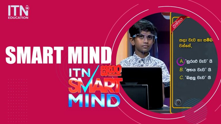 Plataforma SmartMind: A Solu&ccedil;&atilde;o Inteligente para o Desenvolvimento Mental