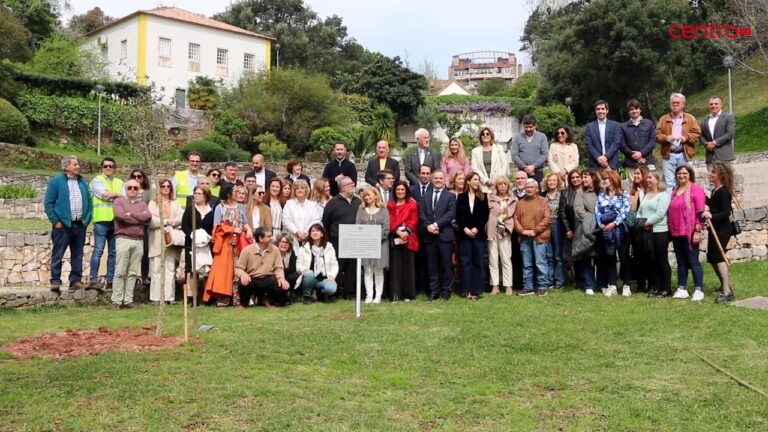 Unidade de Saúde de Coimbra: Um Guia Completo