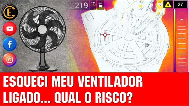 Posso ser s&oacute;cio de uma SL e receber o desemprego?