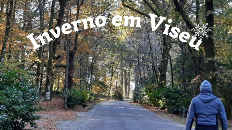 Previsão do Tempo em Viseu: Amanhã