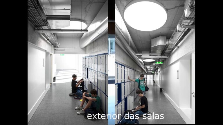 O Impacto do Agrupamento de Escolas de Sever do Vouga na Educa&ccedil;&atilde;o Local