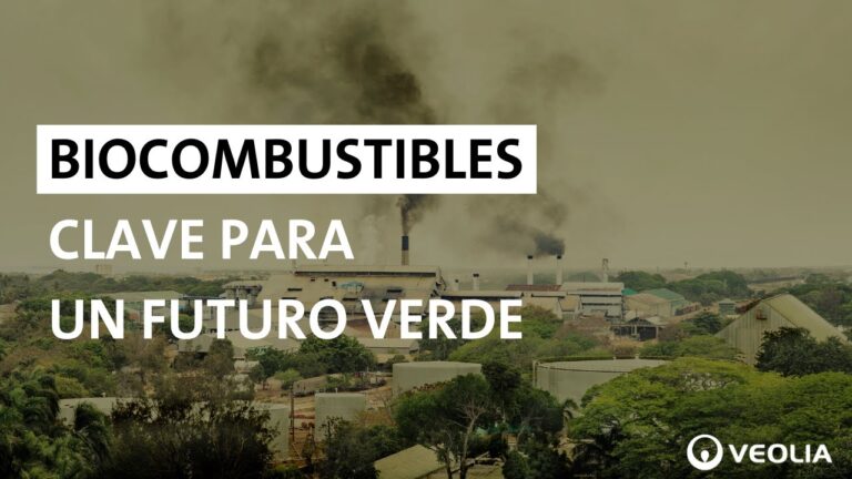 O que são biocombustíveis: uma visão geral