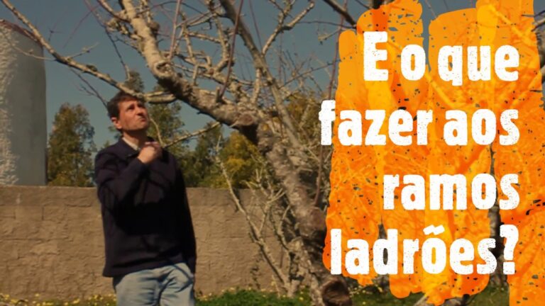 Curso de poda gratuito: Guia completo para iniciantes
