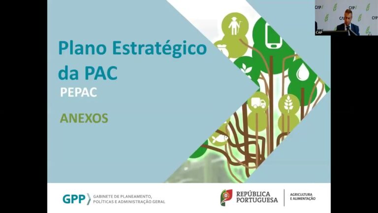 Maximizando Benef&iacute;cios: Entenda os Subsidios do IFADAP