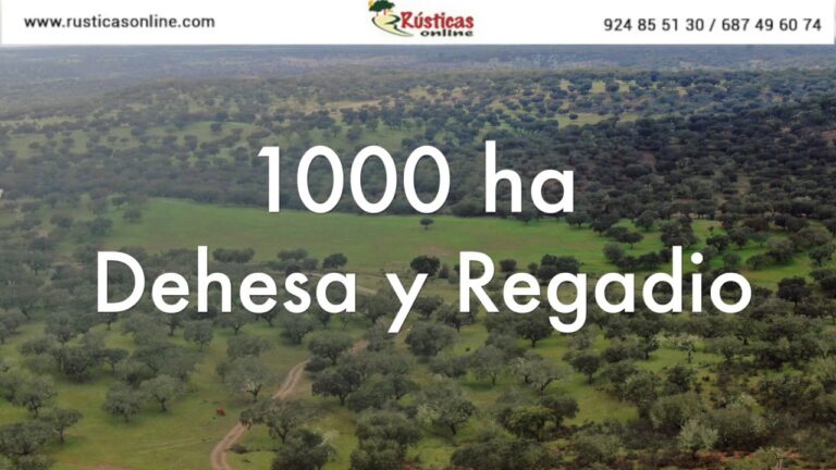 Venda de Grandes Fazendas em Salamanca