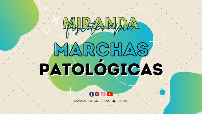 Clasificação de Pareto para otimização hospitalar