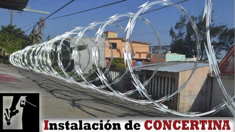 Curso de Unhas Grátis: Como se Inscrever no SEPE