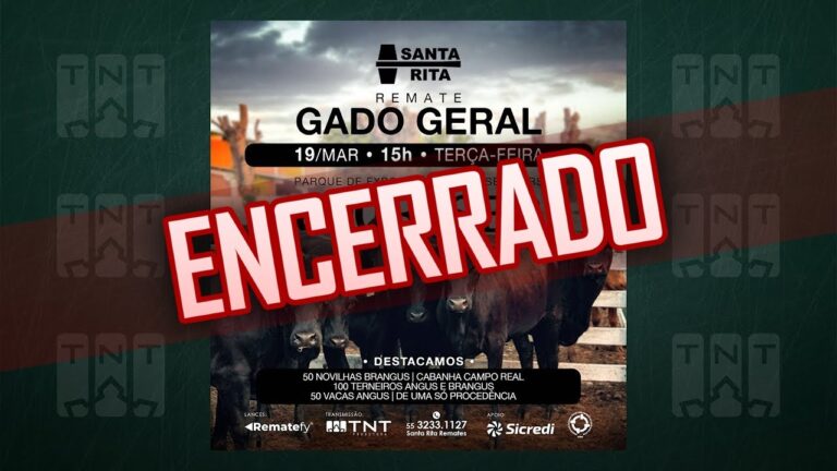 Melhores Cursos SEPE em Guadalajara: Guia Completo