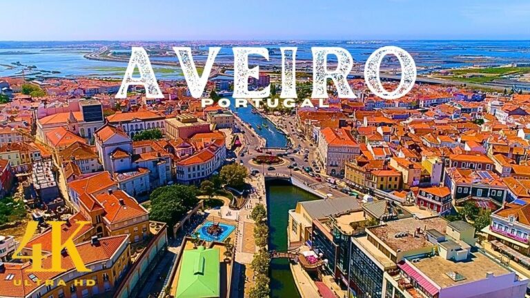 Servi&ccedil;os de Fotoc&oacute;pias em Aveiro: Tudo o que Precisa Saber