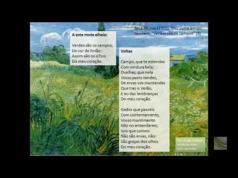 An&aacute;lise dos verdes campos: otimiza&ccedil;&atilde;o e concis&atilde;o.