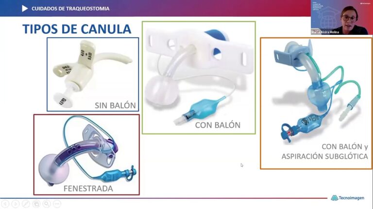 Guia Completo dos Tipos de Moviliza&ccedil;&otilde;es