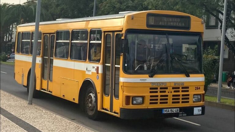Hor&aacute;rios do Funchal 48: Guia Completo de Transporte
