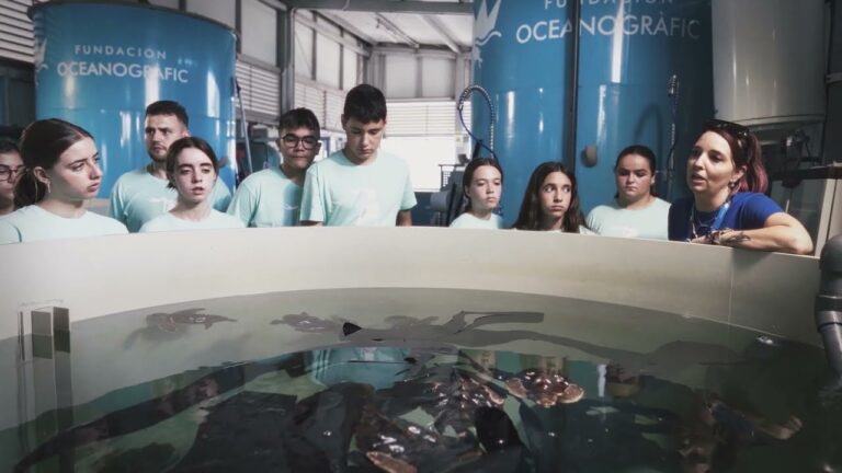 Cursos Gratuitos em Val&ecirc;ncia para Jovens