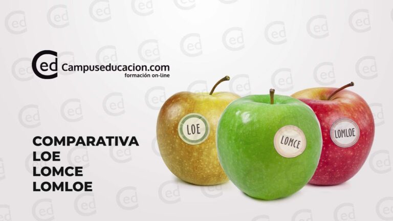 Lomce e as Competências Básicas na Educação