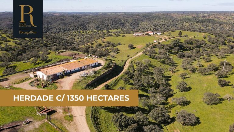 Oportunidades de Investimento: Herdade Penhoradas para Venda