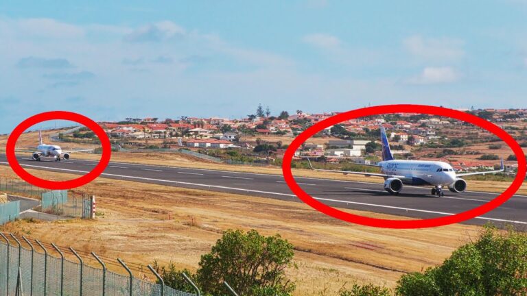 Explorando o Transporte: Táxi em Porto Santo