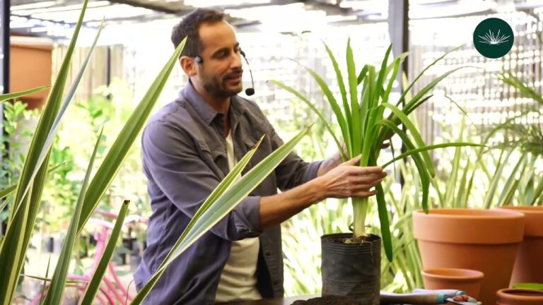 Cursos de Jardineria Gratuitos: Aprenda a Cultivar Seu Jardim