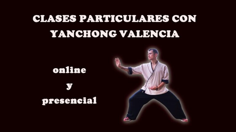 Aumente Seus Rendimentos: Dicas para Dar Aulas Particulares em Valência