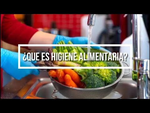 O que é Higiene Alimentar?